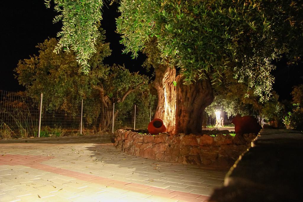 Studios Elianthos Skála Kallirákhis Esterno foto