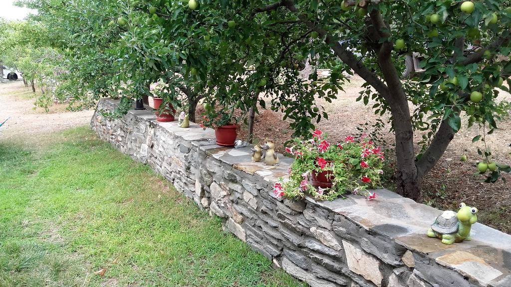 Studios Elianthos Skála Kallirákhis Esterno foto